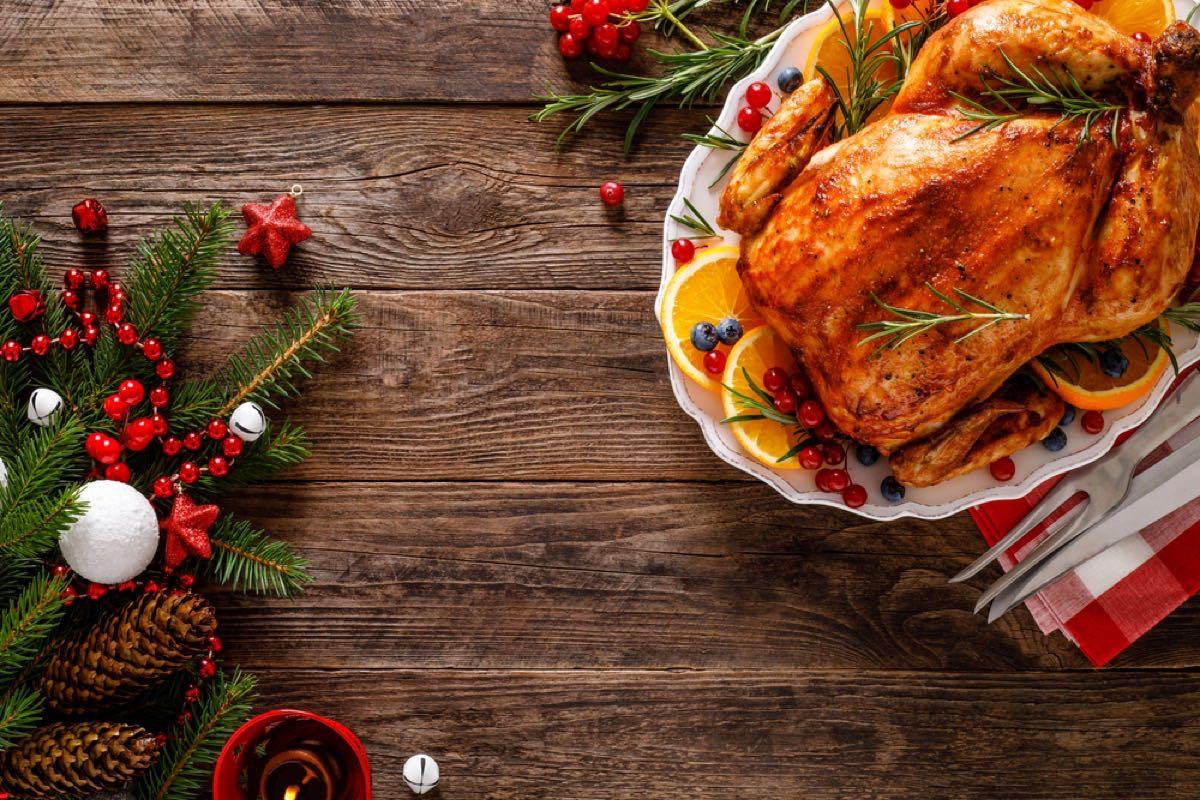 Christmas turkey optimized